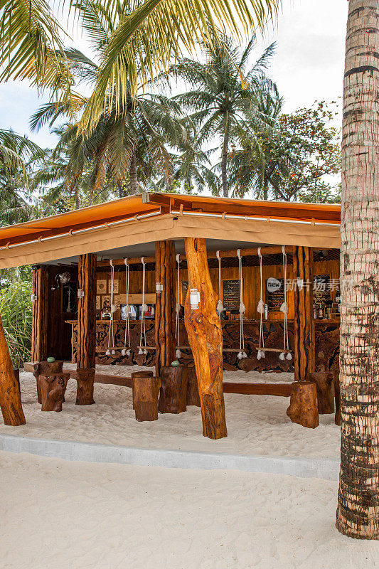 轻松的波西米亚海滩酒吧棕榈树下的漂移木与秋千和热带自然的豆袋