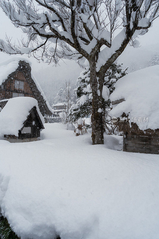 白川村的日本冬天积雪很厚