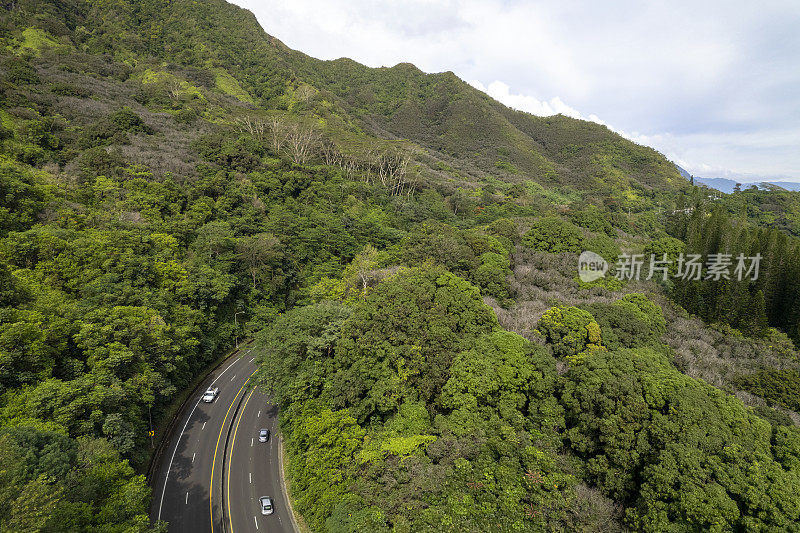 高速公路穿过茂密森林的鸟瞰图