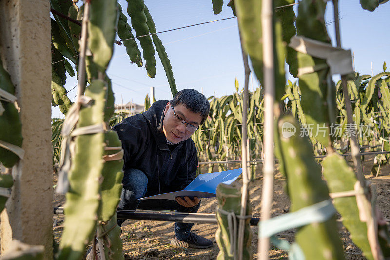 一名男性农民拿着火龙果种植园登记的文件夹