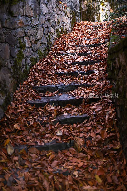 在《叶迪格勒》中，一段覆盖着黄叶的石头楼梯
