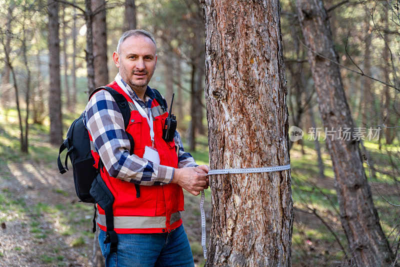 林务员测量树