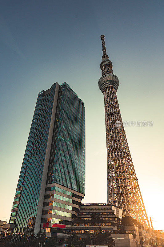 东京天空树位于东京镇的街道上