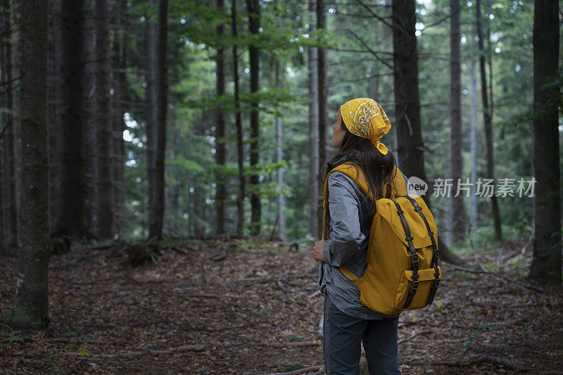 在一个阳光明媚的日子里在树林里徒步旅行的女游客。