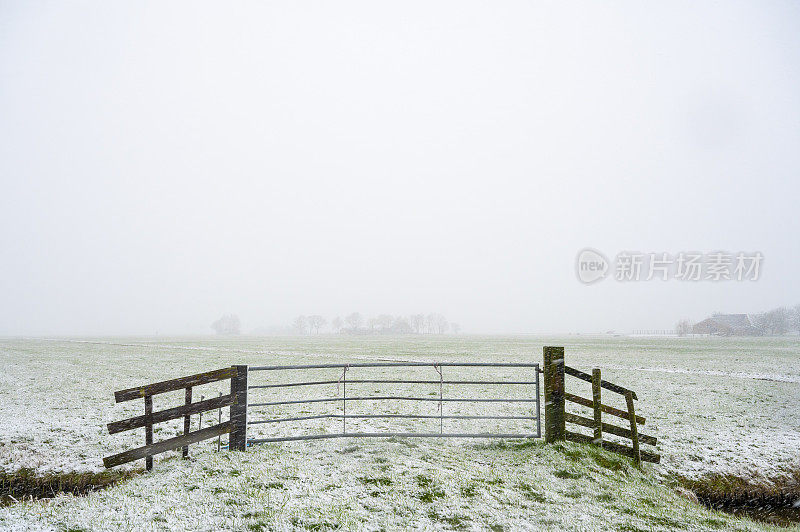 一个寒冷的下午，暴风雪中的冬日乡村风景