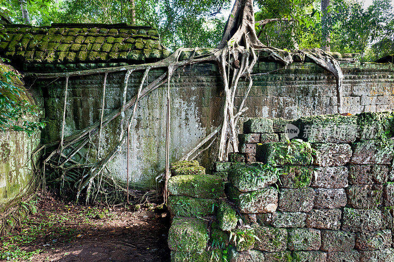 柬埔寨暹粒吴哥丛林中的古庙
