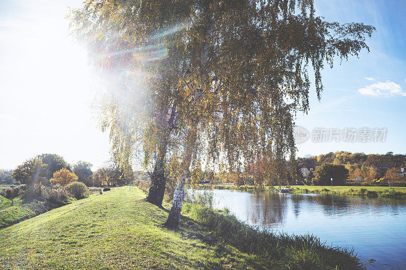 秋天运河边五颜六色的树木