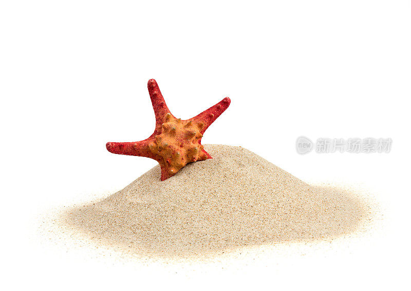 海星在沙上孤立在白色