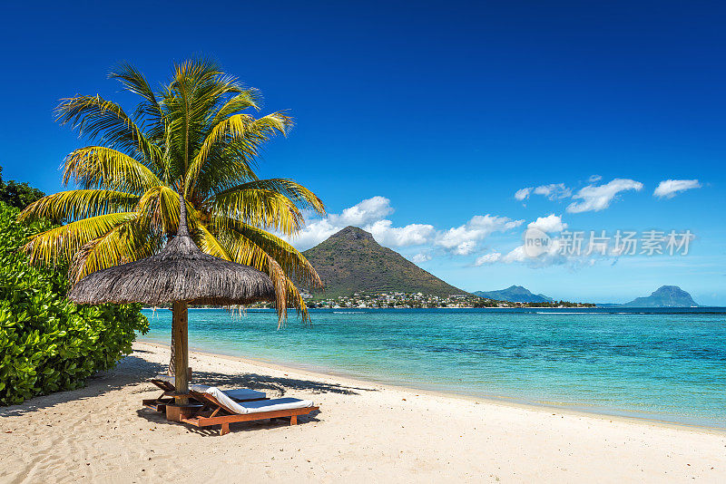 毛里求斯热带海滩上的躺椅和雨伞