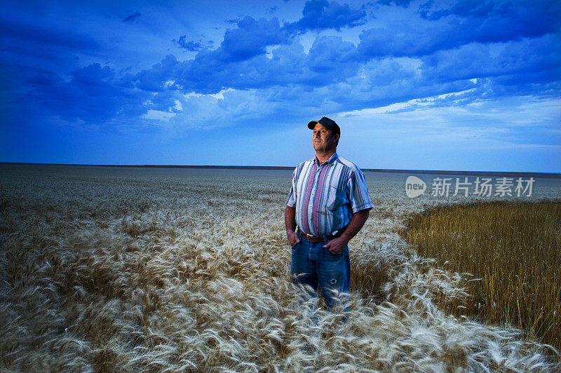 环境肖像美国小麦农民在田野与戏剧性的天空