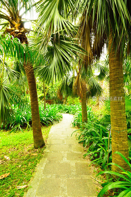 台湾台北植物园