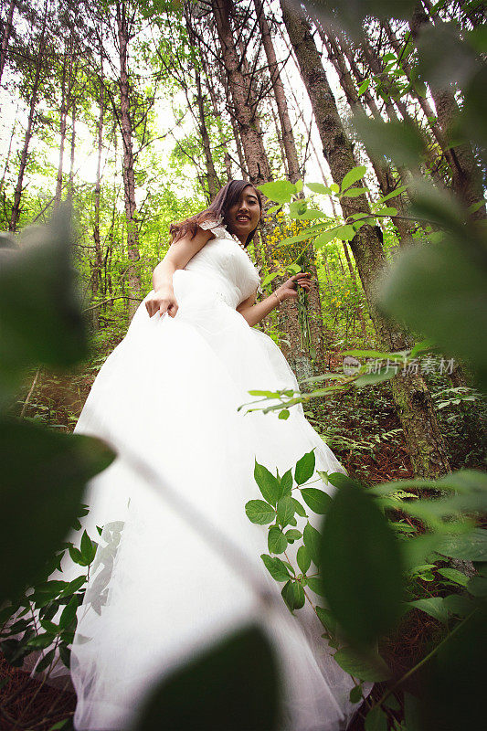 森林里的新娘