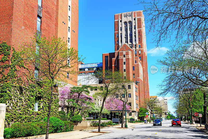 芝加哥医学院