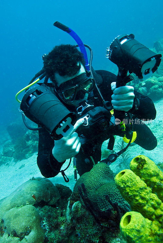 水下摄影师拍摄珊瑚