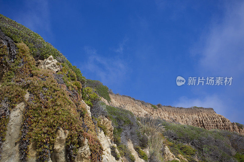 马里布悬崖