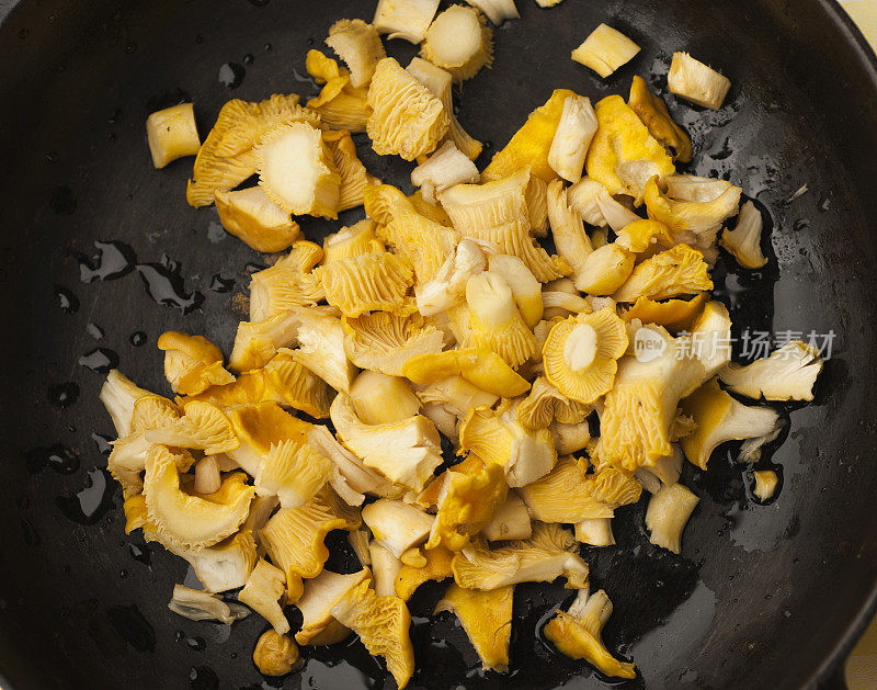 金色的鸡油菌菇