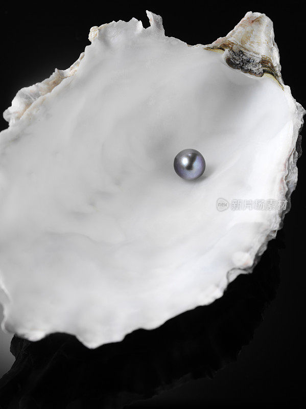 牡蛎壳里的一颗黑珍珠