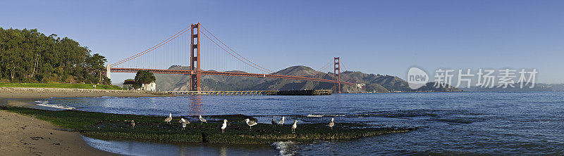 旧金山湾普利西迪奥海滩金门大桥马林海岬