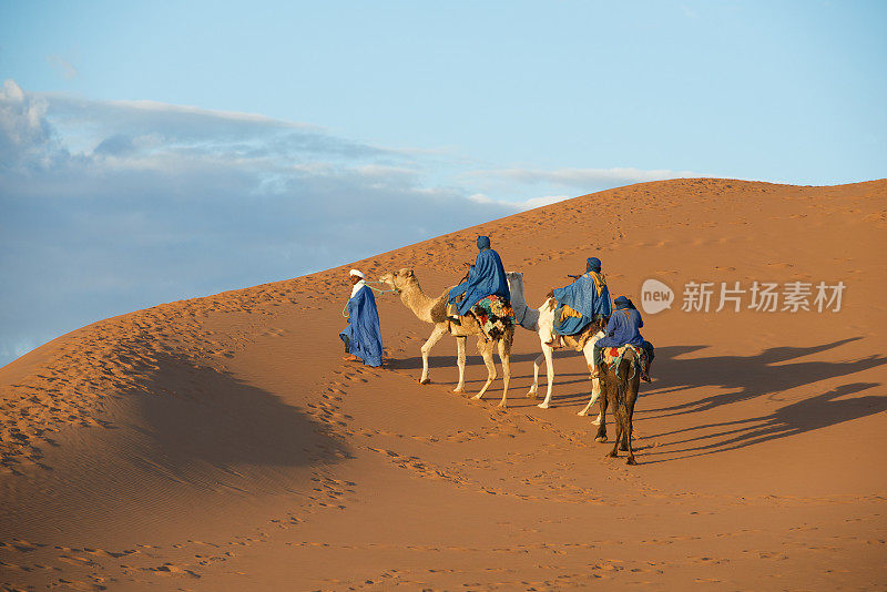 撒哈拉沙漠的骆驼商队