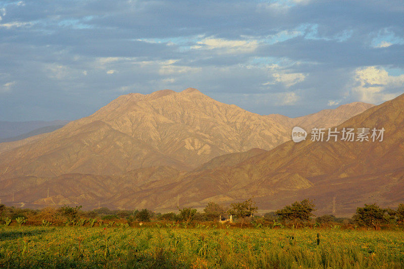 纳斯卡沙漠