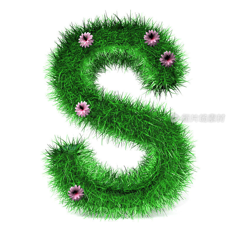 草和花的字母S