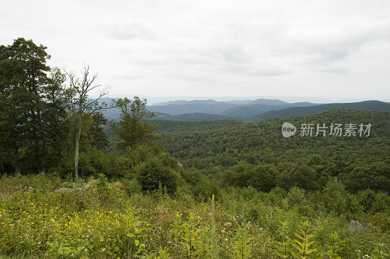 蓝岭山俯瞰