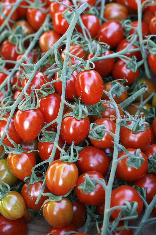 在市场上:西红柿