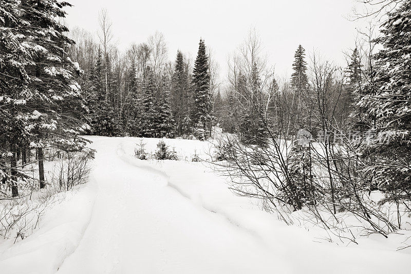 冬季道路和加拿大森林