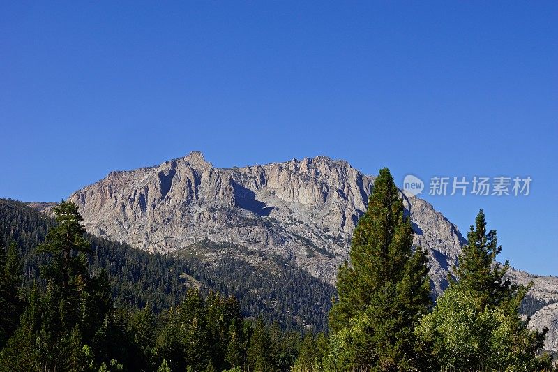 阴阳NF高峰