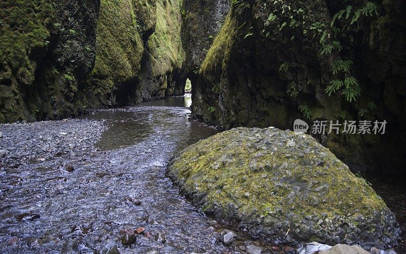 俄勒冈州的杂物峡谷