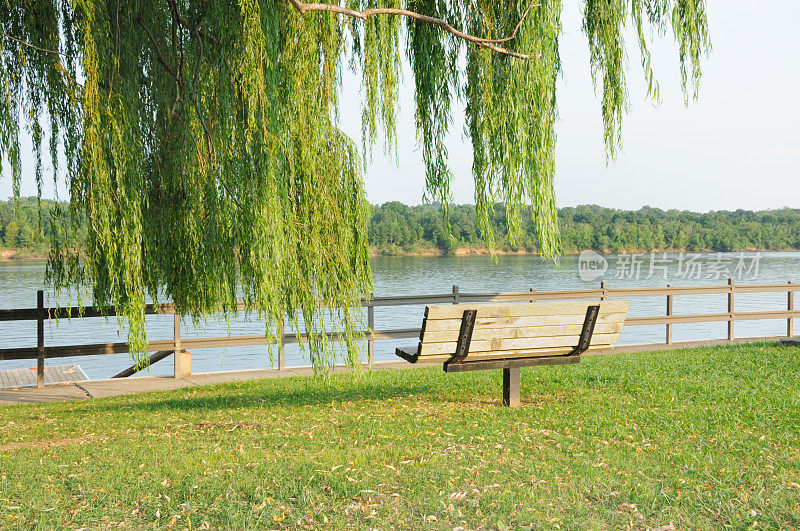 河边的公园长椅，树下