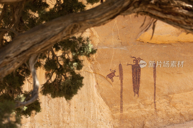 杜松树和屏障峡谷风格的象形文字