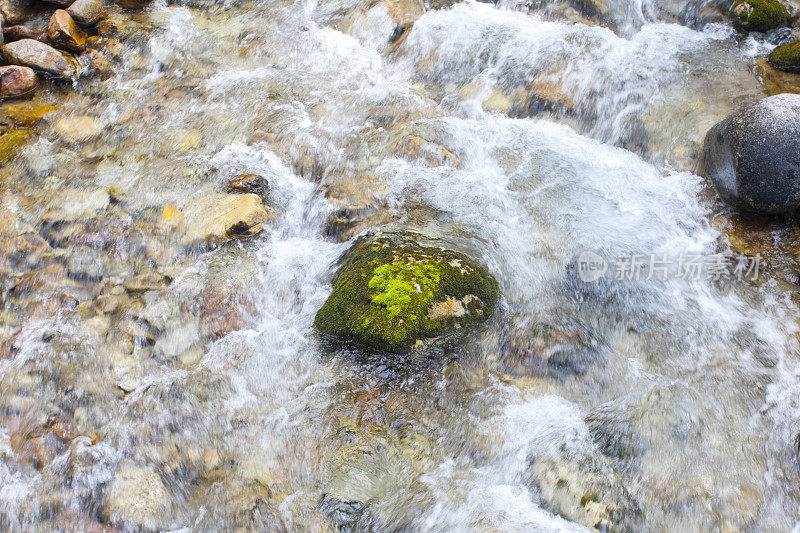 长满青苔的石头