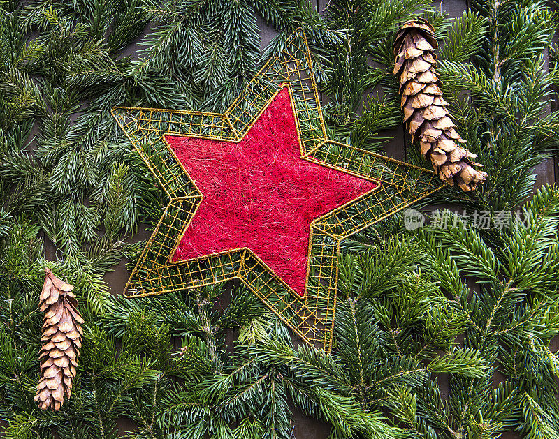 圣诞装饰冷杉枝，松果，红色金星