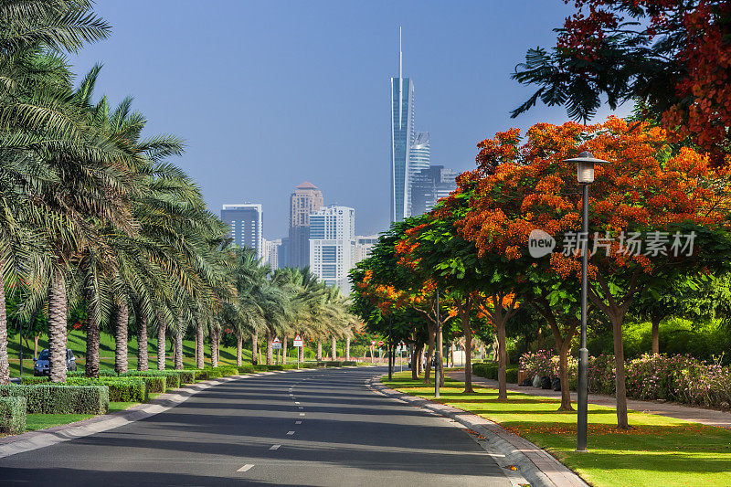 迪拜，阿联酋-阿拉伯的城市景观