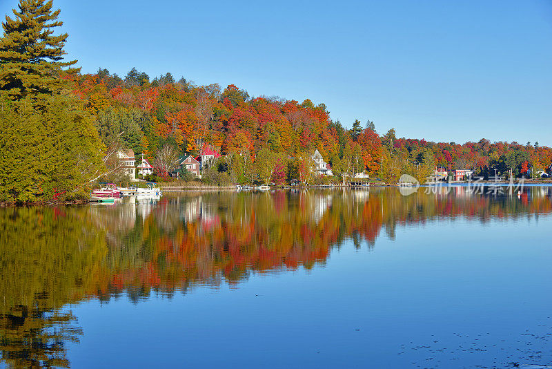 秋天的树叶反射在湖，阿迪朗达克，纽约
