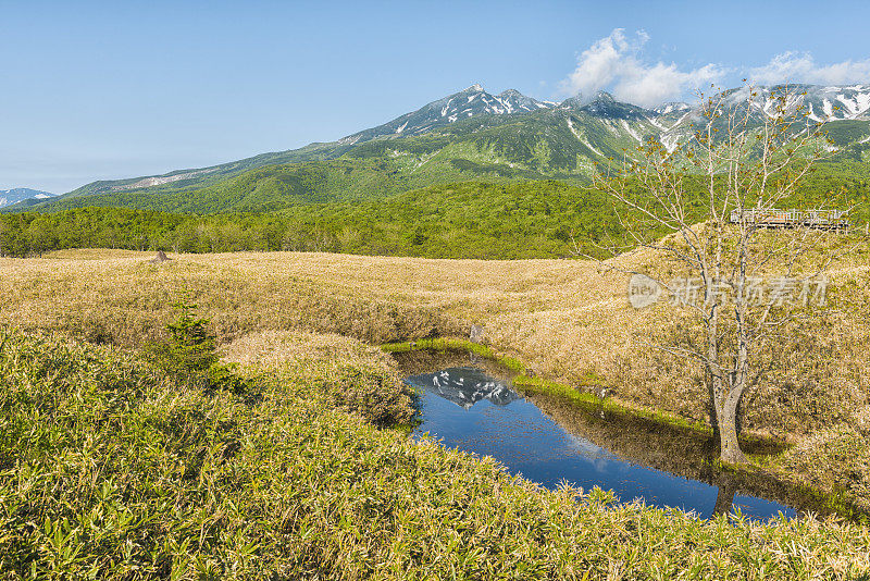 知床国家公园，北海道，日本