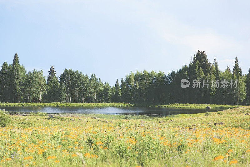 科罗拉多大台地国家森林湖泊