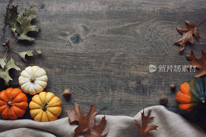 感恩节季节的静物画有五颜六色的小南瓜、橡子南瓜、柔软的毯子和落在乡村木头背景上的落叶