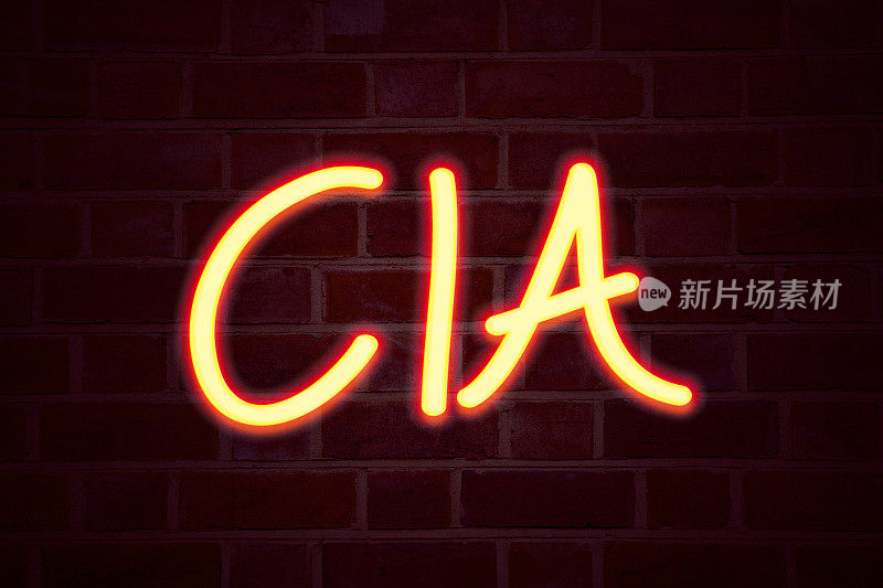 砖墙背景上的CIA霓虹灯。荧光氖管标志在砖上，商业概念简称3D渲染