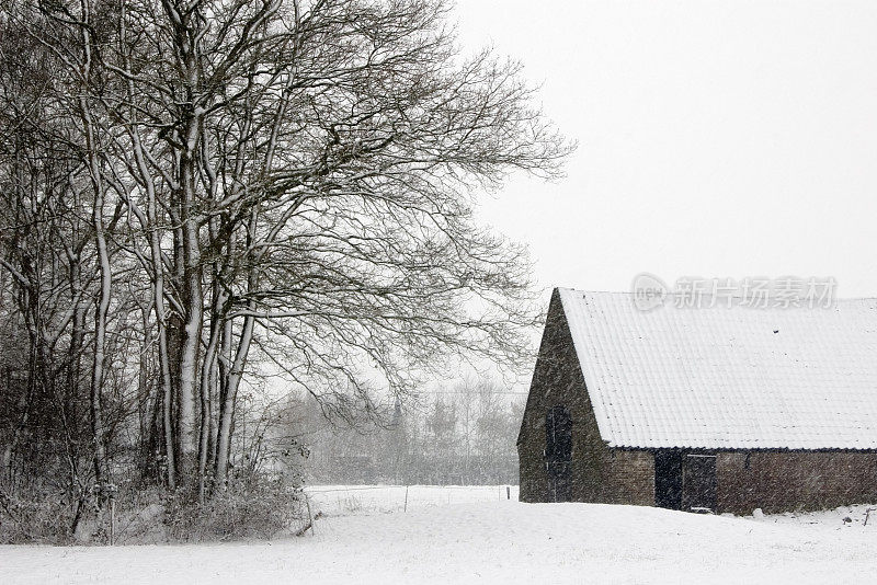 Soest(荷兰)附近暴风雪中的旧谷仓