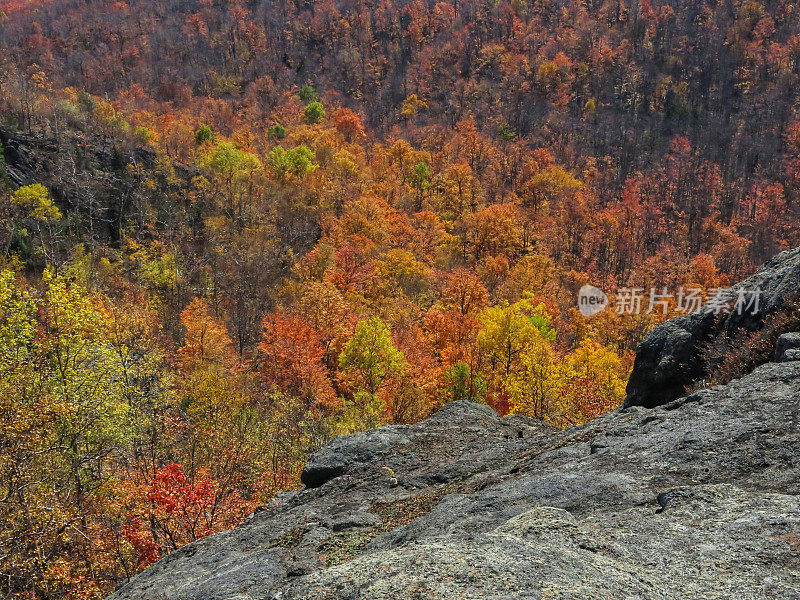 猫头鹰头瞭望台，拷贝空间阿迪朗达克山脉背景，秋天