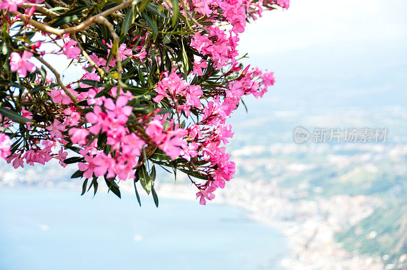 美丽的明信片风景与鲜花在陶尔米纳，西西里