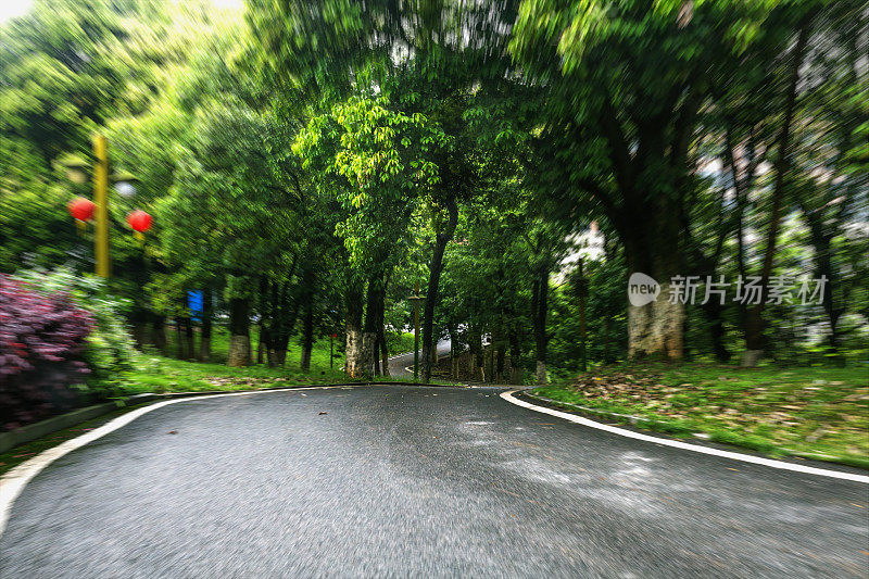 柏油路与树木在动态模糊