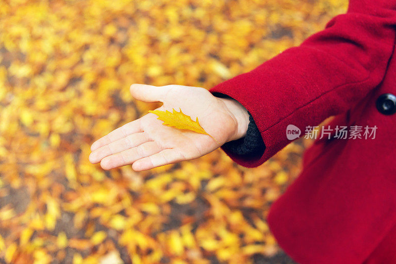 秋叶在女孩的手中