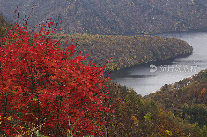 秋季湖Akimoto
