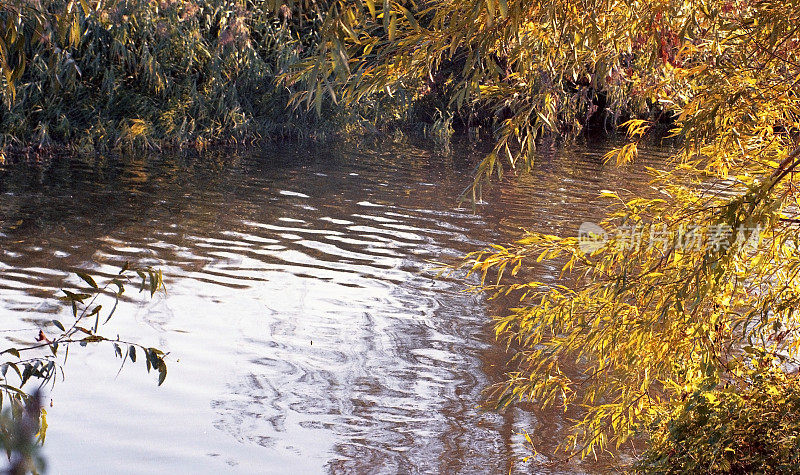 埃文河畔沃里克郡，斯特拉特福德在埃文的秋天风景风景-拍摄的电影