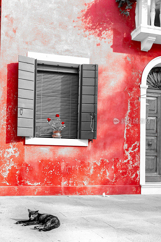 黑猫在一幢意大利老房子前睡觉。黑白摄影，只保留红色。