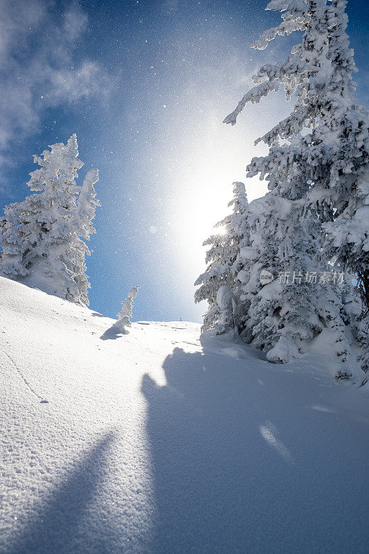 滑雪的背景