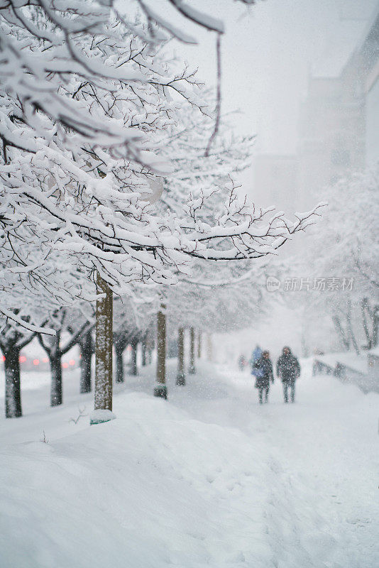 暴风雪给渥太华降下了8英寸的雪